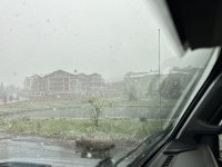 IMG_1292.jpeg