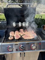 IMG_4576.jpeg