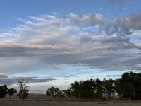 IMG_2494.jpeg