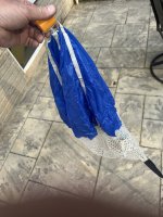 IMG_8786.jpeg