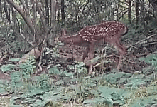 1000033759.gif