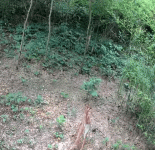 1000033751.gif