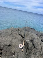 IMG_6478.jpeg