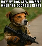 IMG_3847.jpeg