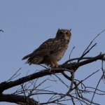 IMG_2562.jpeg