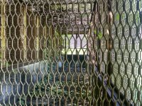 IMG_6556.jpeg