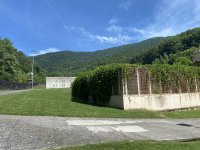 IMG_6558.jpeg
