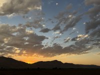 IMG_2600.jpeg