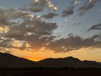 IMG_2604.jpeg