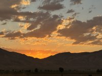 IMG_2608.jpeg