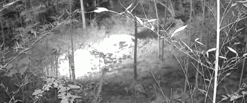 1000034585.gif