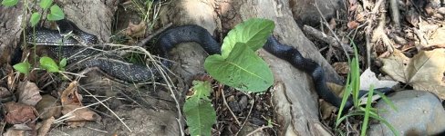 IMG_8902.jpeg