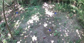 1000034587.jpg