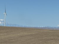IMG_8648.jpeg