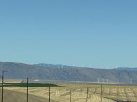 IMG_8650.jpeg
