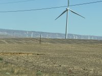 IMG_8651.jpeg