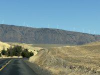 IMG_8658.jpeg