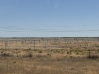 IMG_8666.jpeg