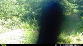 IMG_6579.jpeg