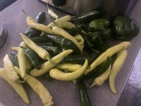 IMG_6589.jpeg