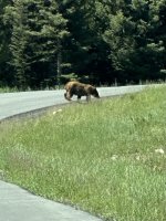 IMG_1528.jpeg