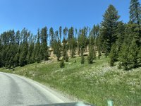 IMG_1520.jpeg