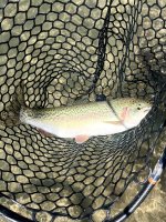 IMG_6514.jpeg