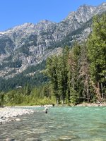 IMG_6502.jpeg