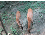 1000034873.gif