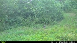 IMG_6600.jpeg