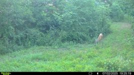 IMG_6601.jpeg