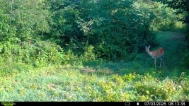 IMG_6602.jpeg