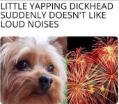 1751553669740.jpeg