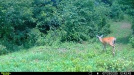 IMG_6610.jpeg