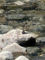 IMG_6528.jpeg