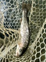 IMG_6535.jpeg