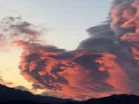 IMG_1820.jpeg