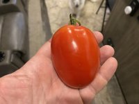 IMG_6616.jpeg