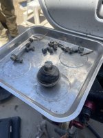 IMG_1310.jpeg