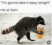 IMG_1184.jpeg
