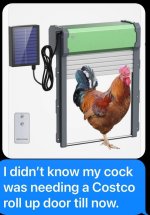 IMG_1897.jpeg