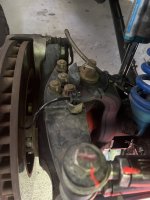 IMG_7923.jpeg