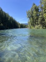 IMG_6545.jpeg