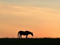 IMG_7389.jpeg