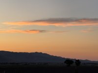 IMG_2714.jpeg