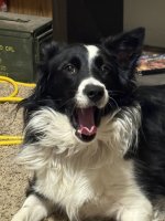 IMG_0538.jpeg