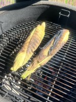 IMG_6549.jpeg