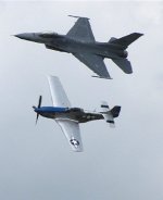 Mustang_falcon.jpg