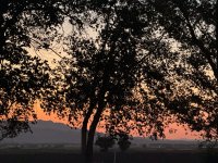 IMG_2935.jpeg
