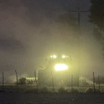 IMG_2938.jpeg
